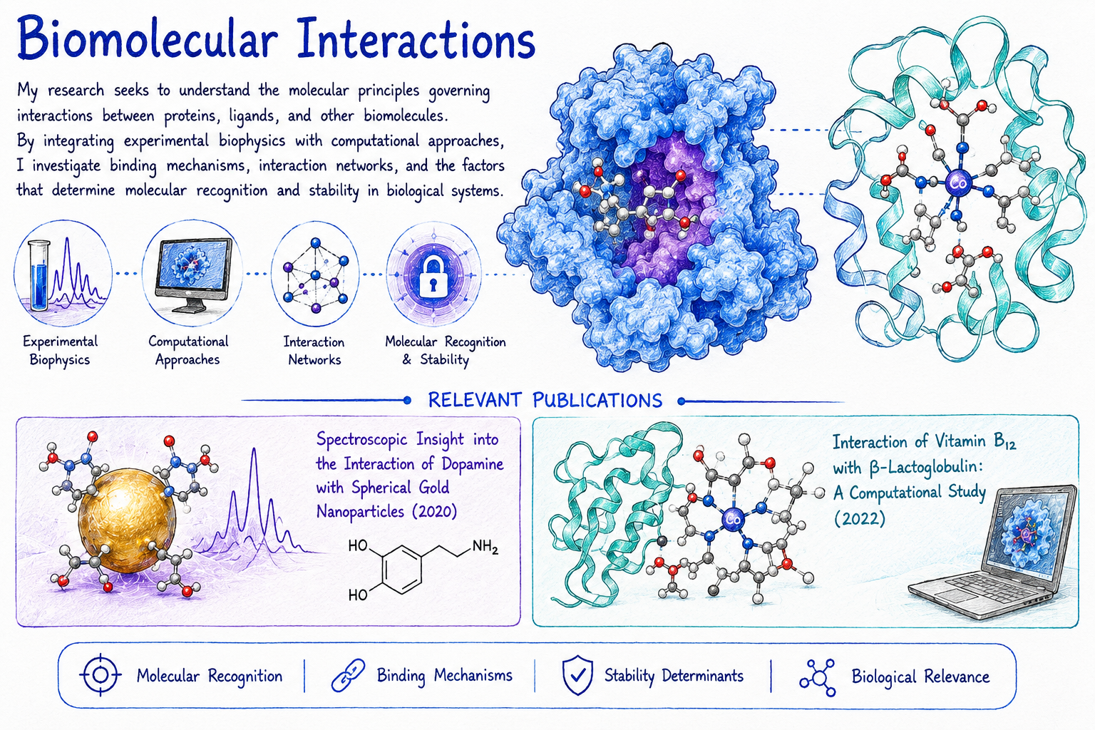 Biomolecular Interactions