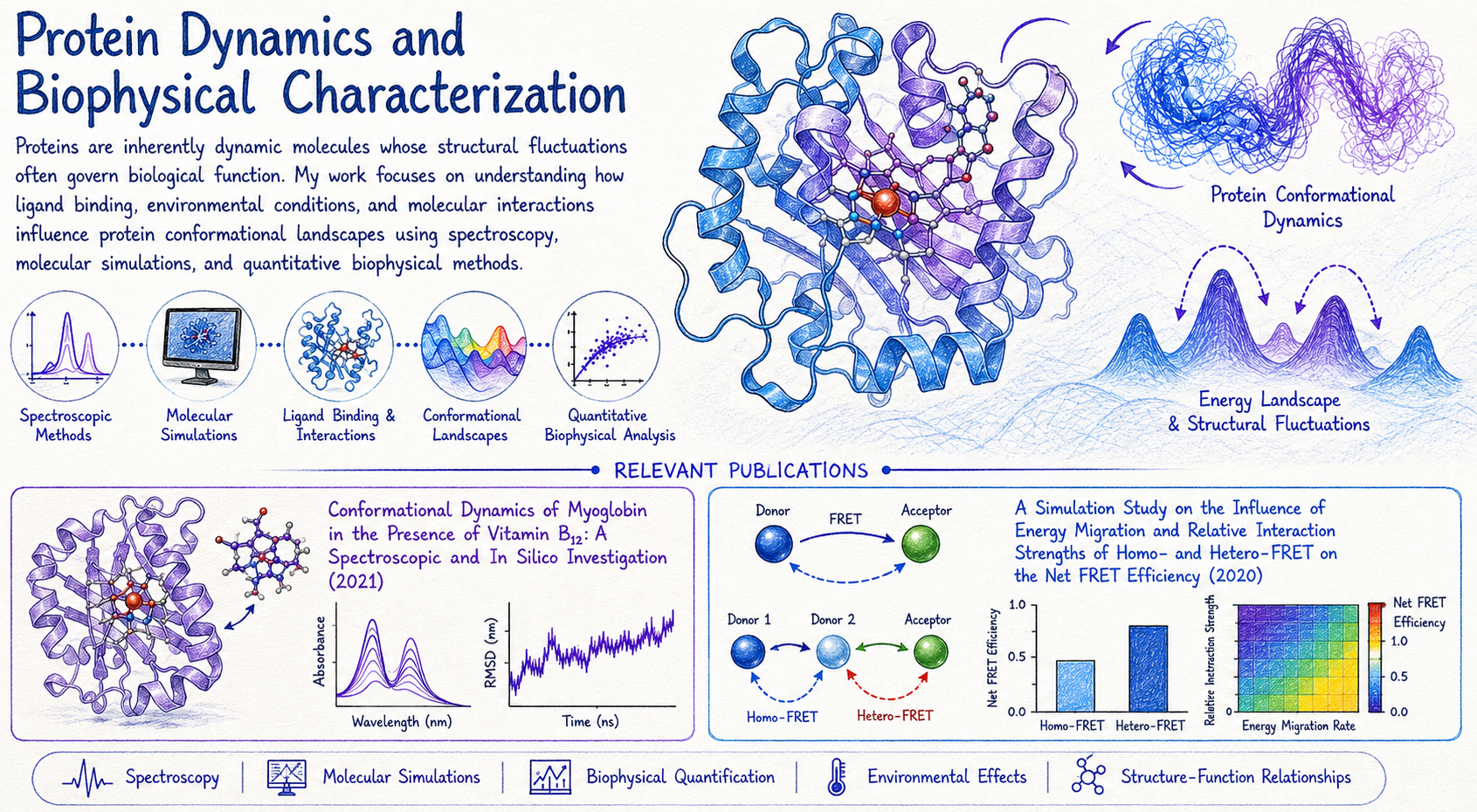 Protein Dynamics
